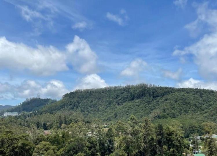 King'S Lodge Nuwara Eliya Kültér fotó